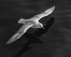 _K5A8541-20250901-DxO_DeepPRIME XD2s.jpg