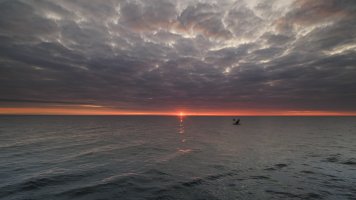 _K5A9463-20250901-DxO_DeepPRIME XD2s.jpg