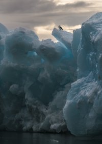 _K5A0019-20250902-DxO_DeepPRIME XD2s.jpg