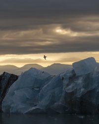 _K5A9835-20250902-DxO_DeepPRIME XD2s.jpg