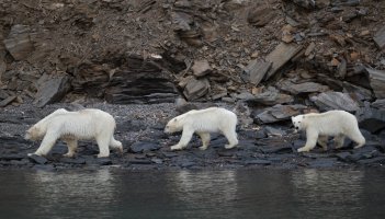 _K5A1129-20250903-DxO_DeepPRIME XD2s.jpg