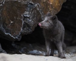 _K5A2168-20250903-DxO_DeepPRIME XD2s.jpg