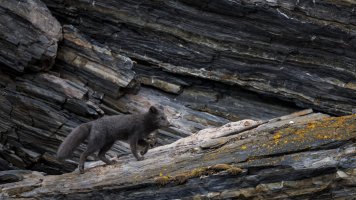 _X4A6035-20250903-DxO_DeepPRIME XD2s.jpg