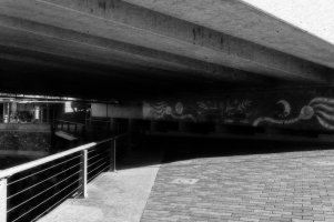 _DSF1436_DxOTexture 2_DxO copyTexture 2.jpg