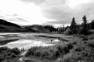 _MG_5358 copy_picc-topaz-denoise-sharpen.jpg