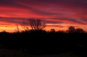 DSCF3985Texture 2.jpg