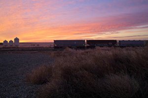 _V2A7852Texture 2_Radiant-topaz-sharpen.jpg