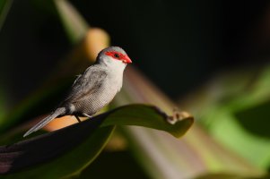 DSC_3885.jpg DSC_3885.jpg