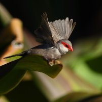 DSC_3890.jpg DSC_3890.jpg