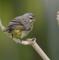 DSC_3956.jpg DSC_3956.jpg