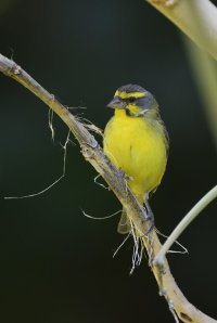 DSC_4043.jpg DSC_4043.jpg