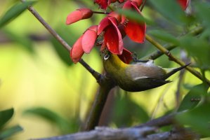 DSC_3868.jpg DSC_3868.jpg