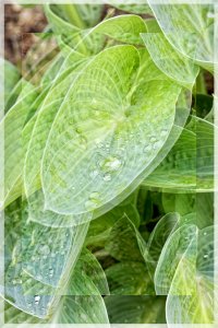 _MG_9057_DxO copy-topaz-sharpen.jpg