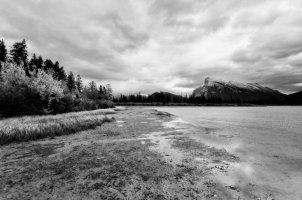 _MG_8011 copy-topaz-sharpen.jpg