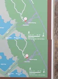 70-200 EF vs RF sharpness.png