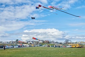 Kites 2-topaz-sharpen.jpg