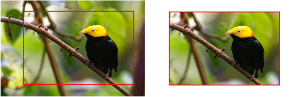 Screenshot 2025-12-21 at 4.07.28 PM.png