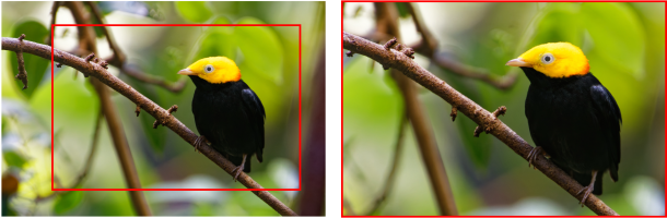 Screenshot 2025-12-21 at 4.07.33 PM.png