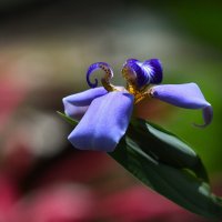 DSC_7421.jpg DSC_7421.jpg