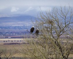 R5M23512-DxO_DeepPRIME XD2s.jpg