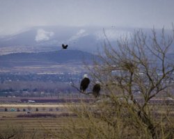 R5M23499-DxO_DeepPRIME XD2s.jpg