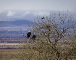 R5M23507-DxO_DeepPRIME XD2s.jpg