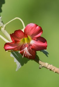 DSC_8447.jpg DSC_8447.jpg