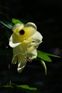 DSC_8450.jpg DSC_8450.jpg