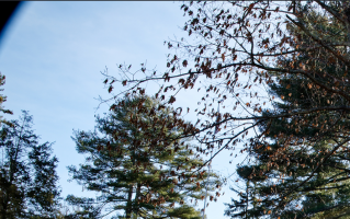 Screenshot 2026-01-10 at 3.31.39 PM.png