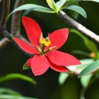 DSC_8759.jpg DSC_8759.jpg