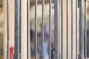 _08A4934 Jan 21 2026 1200 px.jpg