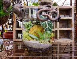 _DSF1931_DxO_DxOVP-topaz-sharpen-sharpenTexture 2-topaz-sharpen.jpg