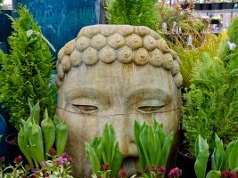 _DSF1943_DxO-topaz-sharpenTexture 2-topaz-sharpen.jpg