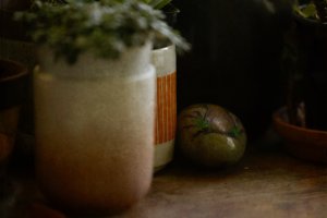 _V2A3695_NIKTexture 2.jpg