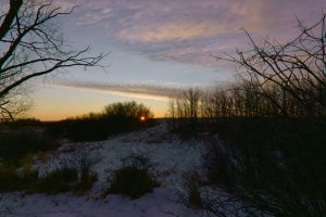 _V2A8584-topaz-rawdenoise_DxOTexture 2_NIK.jpg