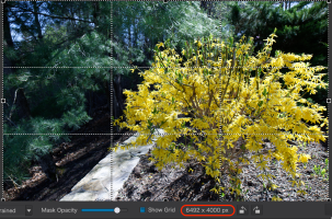 Screenshot 2026-01-31 at 11.23.40 AM.png