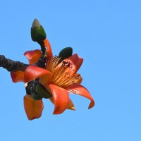 DSC_0129.jpg DSC_0129.jpg