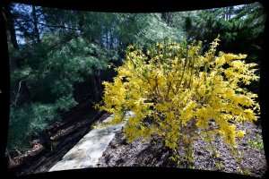 Screenshot 2026-02-01 at 10.52.56 AM.jpg