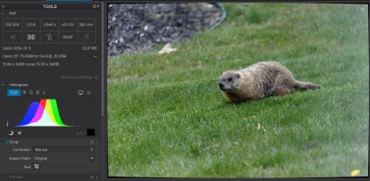 Screenshot 2026-02-01 at 12.07.33 PM.jpg