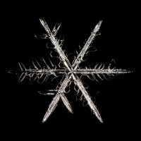 Snowflake.jpg