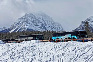 _MG_7213_DxO copy-topaz-lighting-sharpen_Radiant-topaz-sharpen.jpg