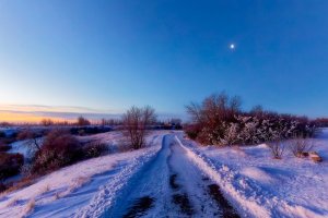 _V2A8500_DxO-topaz-sharpen-sharpen_DxO_Radiant (1)-topaz-sharpen.jpg