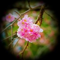 _V2A7573_DxO_DxO copy-topaz-sharpen.jpg