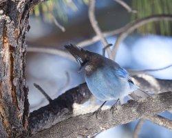 R5M20441-DxO_DeepPRIME XD2s.jpg