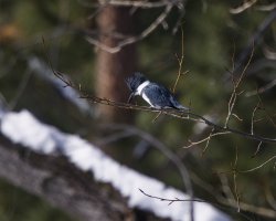 R5M29776-DxO_DeepPRIME XD2s.jpg