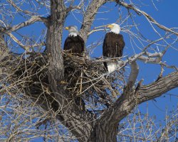 R5M29719-DxO_DeepPRIME XD2s.jpg