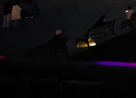 Screenshot 2026-02-25 at 10.15.11 PM.png