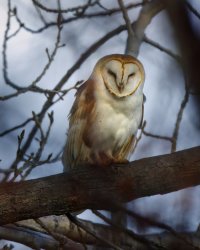 R5M29551-DxO_DeepPRIME XD2s.jpg