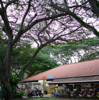 Because yeah, this lens doesn't need any digital correction.png Because yeah, this lens doesn't need any digital correction.png