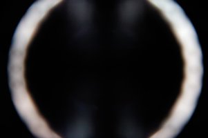 Lens Cap Photography.jpg